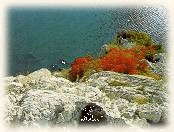 Panorama dal Rilke (23095 byte)