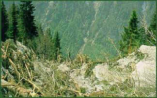 siccità.jpg (23461 byte)