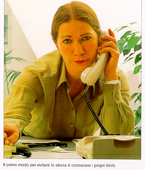 stress.jpg (185988 byte)