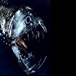 Chauliodus sloani. Il pesce vipera è uno dei più feroci predatori degli abissi, generalmente è un piccolo pesce di circa 30 cm ma può arrivare ai 60 cm, vive alla profondità di 1500 - 2500 m in acque molto fredde. Ha un modo curioso di attrarre le prede: possiede delle luci dentro la cavità boccale, circa 350 piccoli organi luminosi.